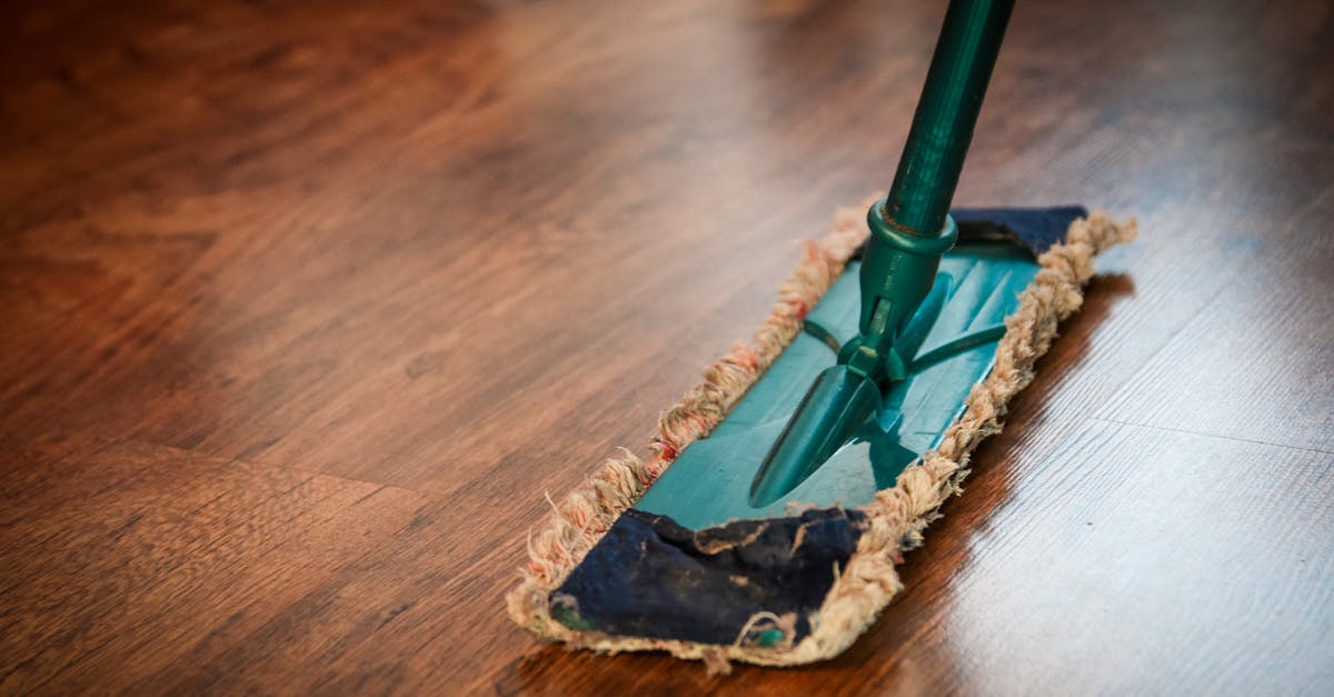 How much does professional carpet cleaning cost in the US?